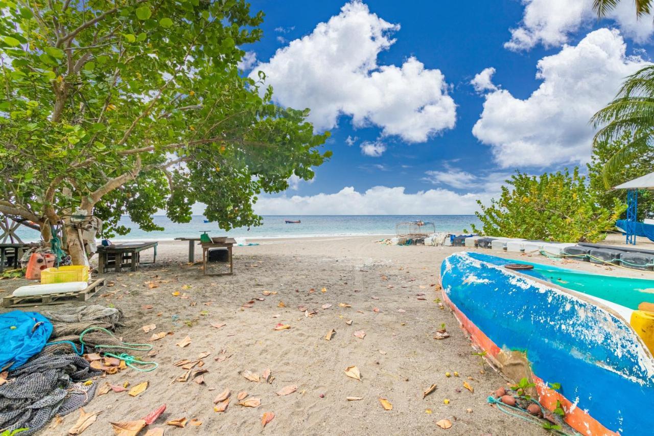 Appartement Charmant Au Carbet Avec Vue Sur La Mer 50 M² ル・カルベ エクステリア 写真