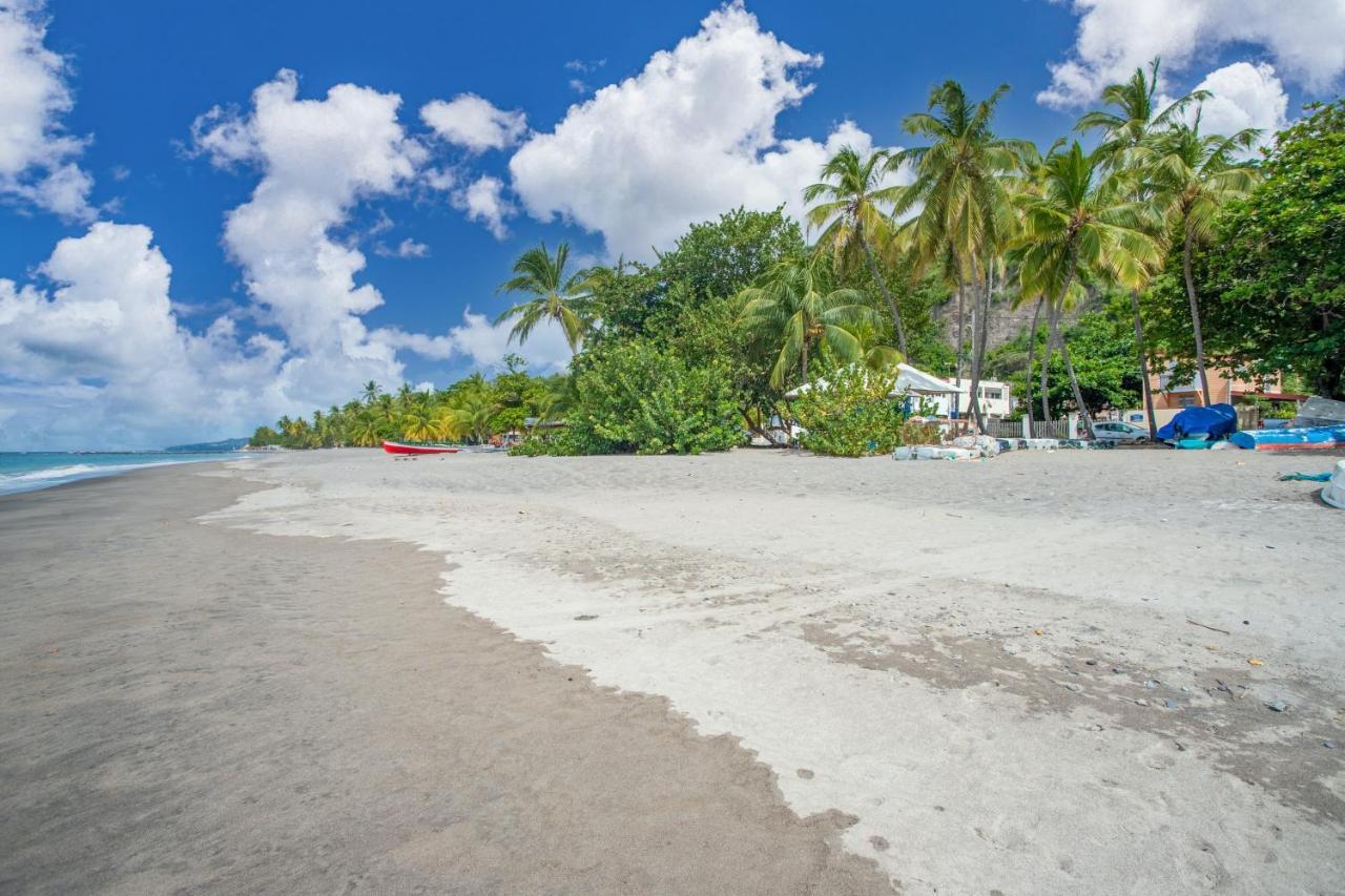 Appartement Charmant Au Carbet Avec Vue Sur La Mer 50 M² ル・カルベ エクステリア 写真
