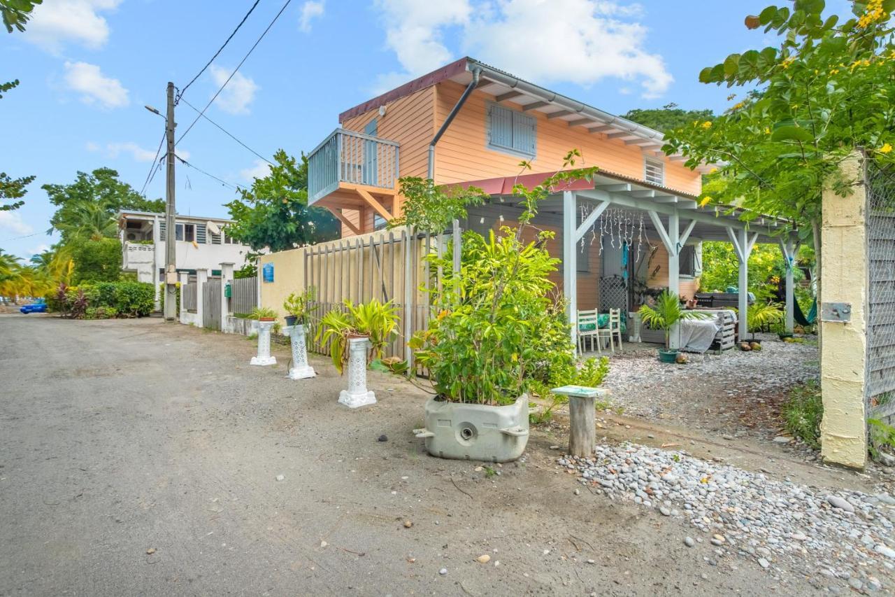Appartement Charmant Au Carbet Avec Vue Sur La Mer 50 M² ル・カルベ エクステリア 写真