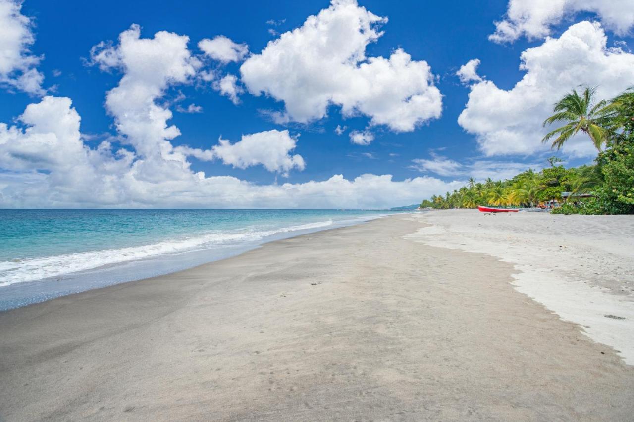 Appartement Charmant Au Carbet Avec Vue Sur La Mer 50 M² ル・カルベ エクステリア 写真
