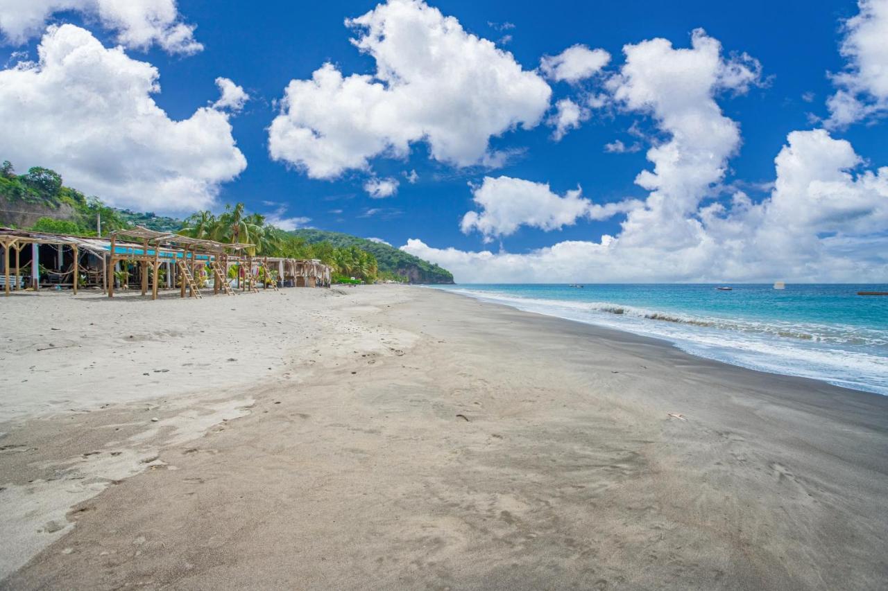 Appartement Charmant Au Carbet Avec Vue Sur La Mer 50 M² ル・カルベ エクステリア 写真